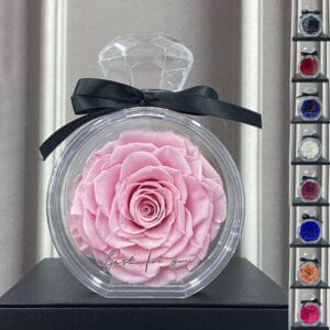 Transparent Natural Dried Rose Flower Ornament