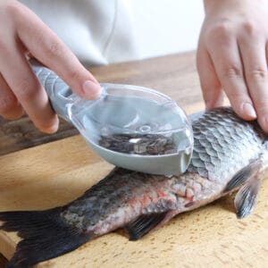 Fish Skin Scale Scraping Brush