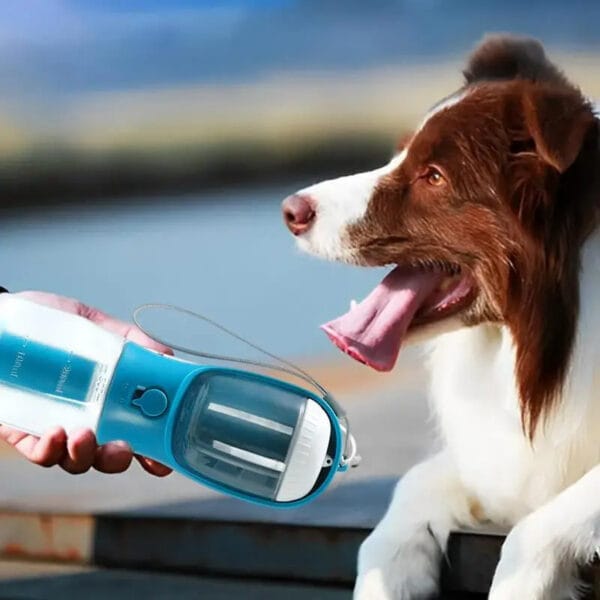 3 in 1 Dog Drinking Water/Food and Garbage Bag Cup - Beeld 7