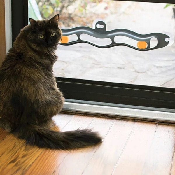Windowsill Pets Zabawka Cat Track Ball Produkty dla zwierząt domowych